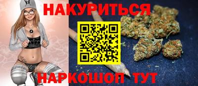 шишки Апшеронск